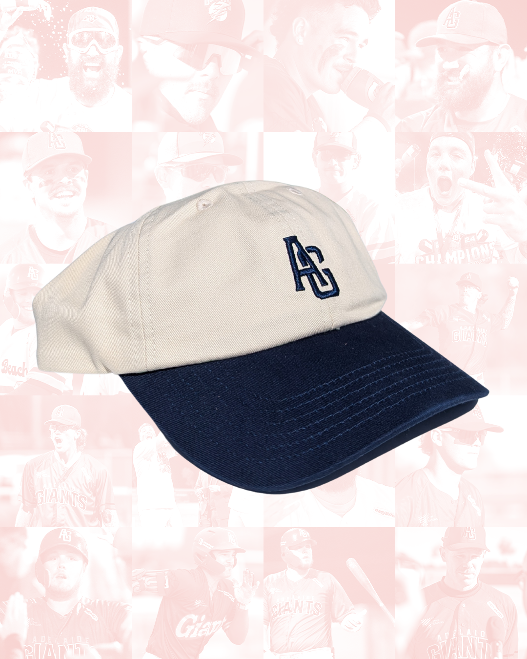 Navy/Off-White Dad Hat